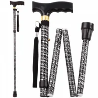Extendable Plastic Handled Walking Stick with Engraved Pattern