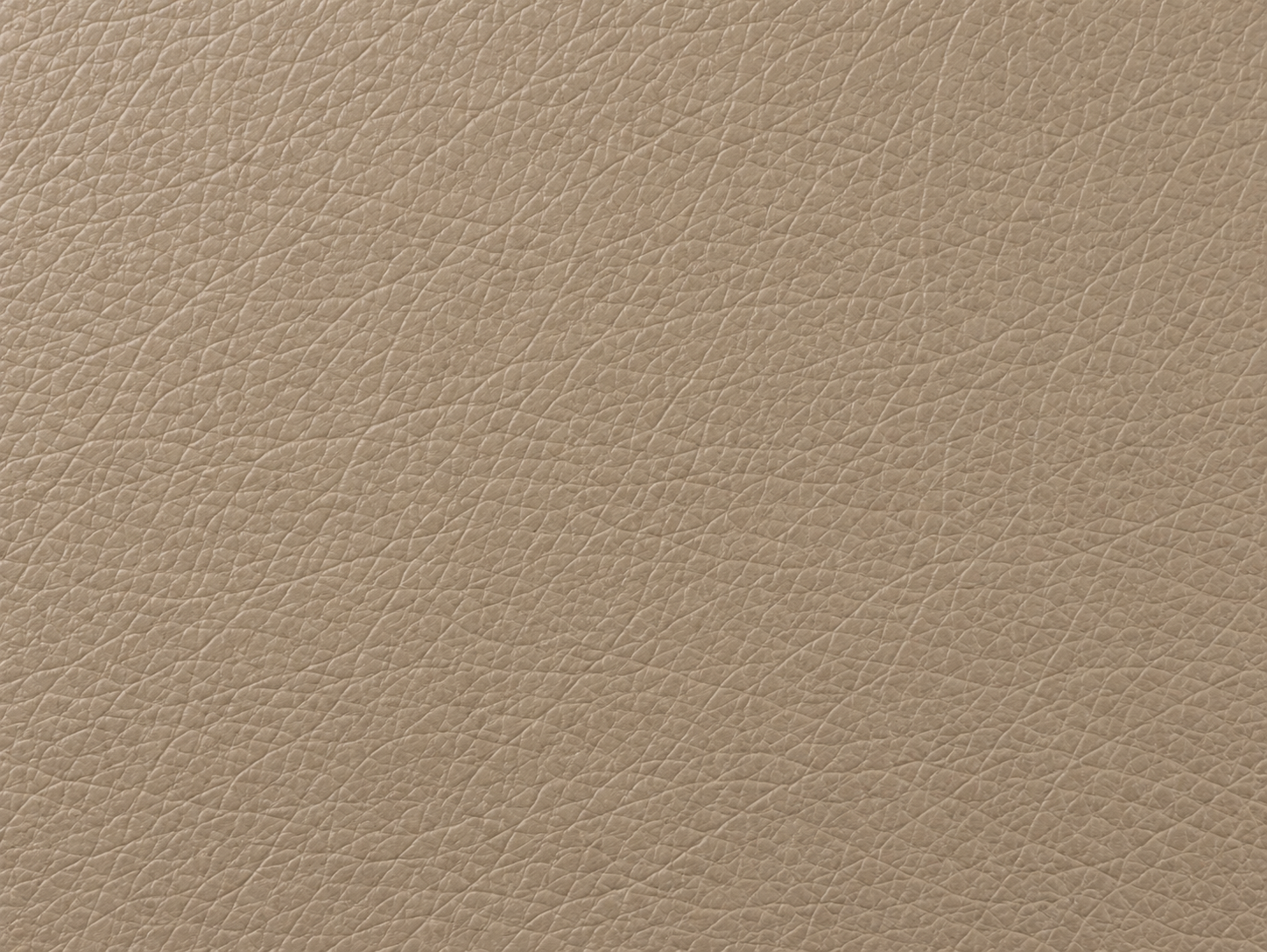 Close-up of beige simulation leather
